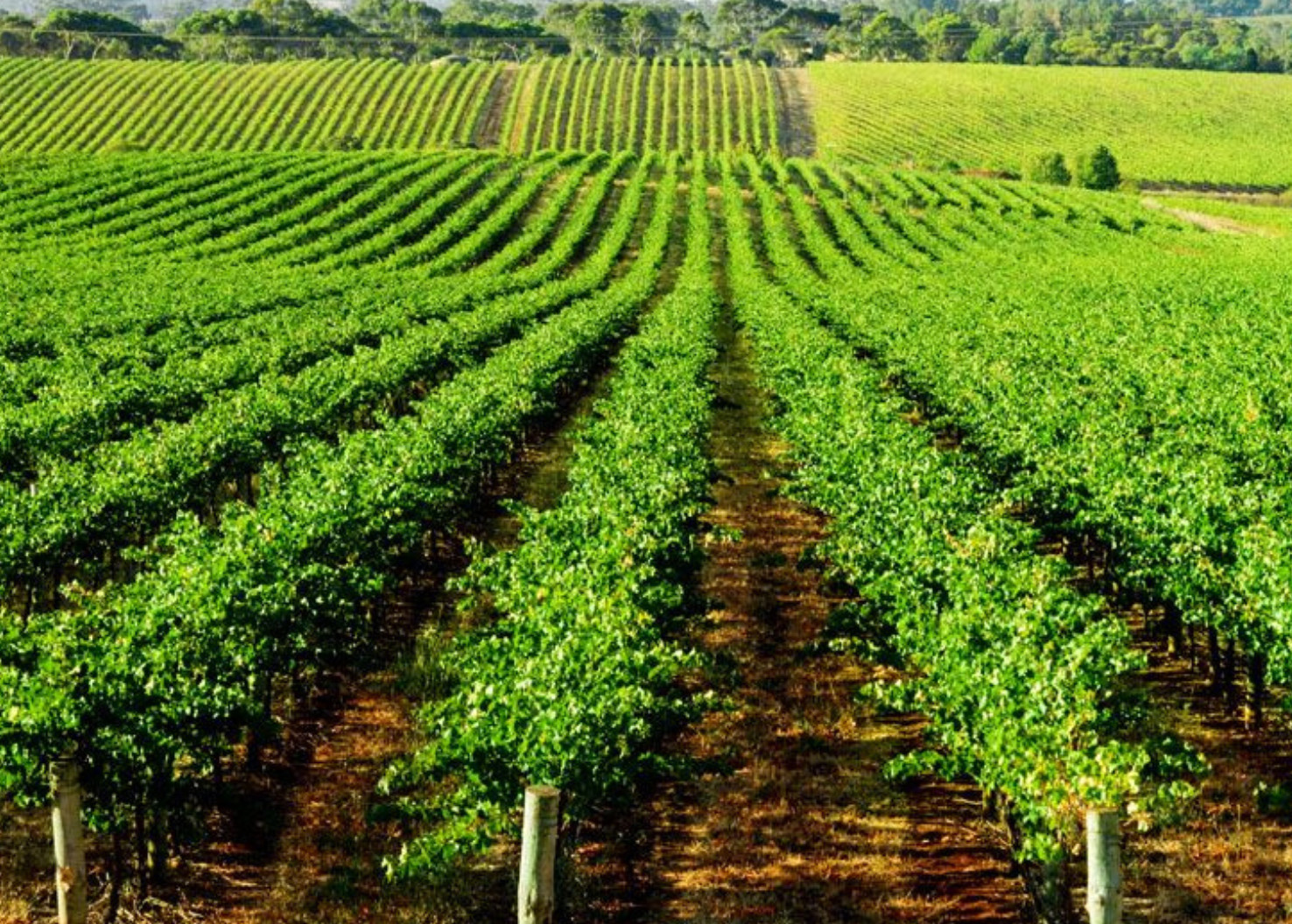 Exposition et drainage des parcelles